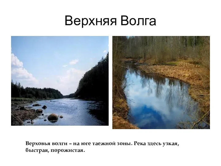 Верхняя Волга Верховья волги – на юге таежной зоны. Река здесь узкая, быстрая, порожистая.