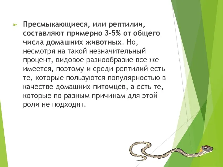 Пресмыкающиеся, или рептилии, составляют примерно 3-5% от общего числа домашних