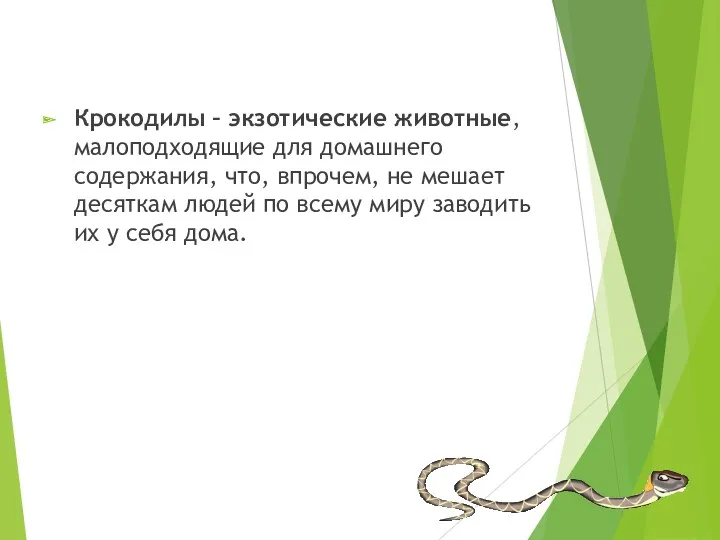 Крокодилы – экзотические животные, малоподходящие для домашнего содержания, что, впрочем,