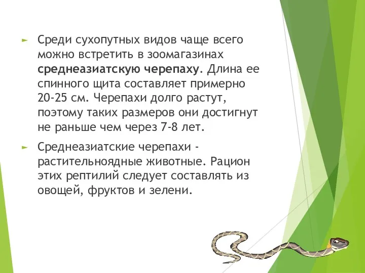 Среди сухопутных видов чаще всего можно встретить в зоомагазинах среднеазиатскую