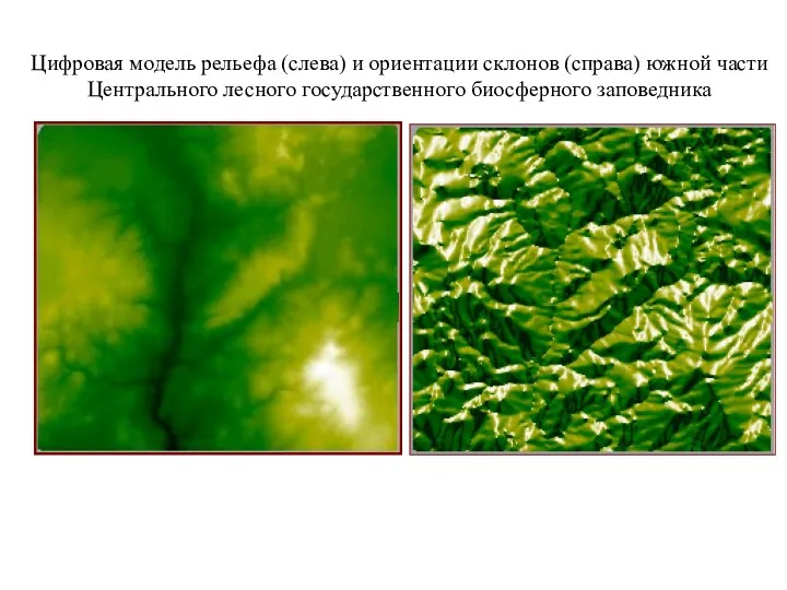 Цифровая модель рельефа (слева) и ориентации склонов (справа) южной части Центрального лесного государственного биосферного заповедника