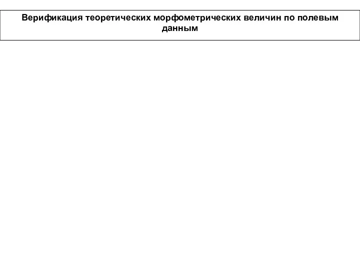 Верификация теоретических морфометрических величин по полевым данным