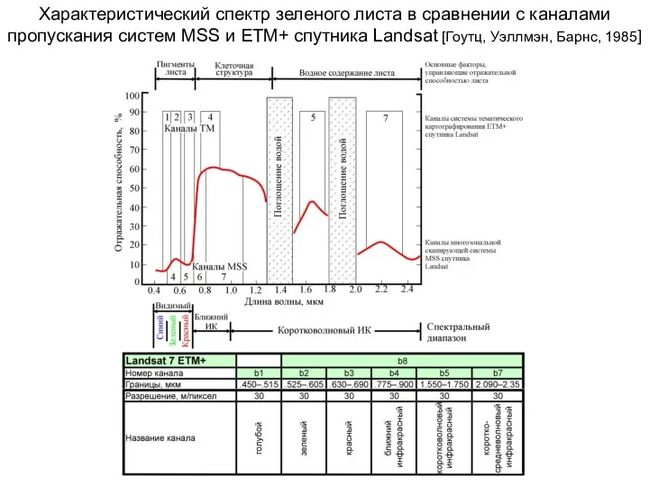 Характеристический спектр зеленого листа в сравнении с каналами пропускания систем