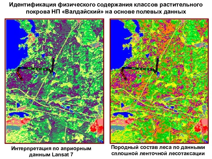 Идентификация физического содержания классов растительного покрова НП «Валдайский» на основе