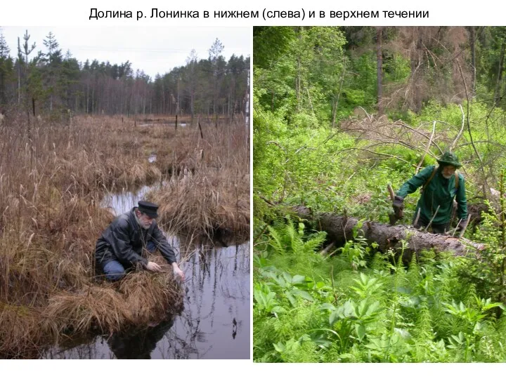 Долина р. Лонинка в нижнем (слева) и в верхнем течении