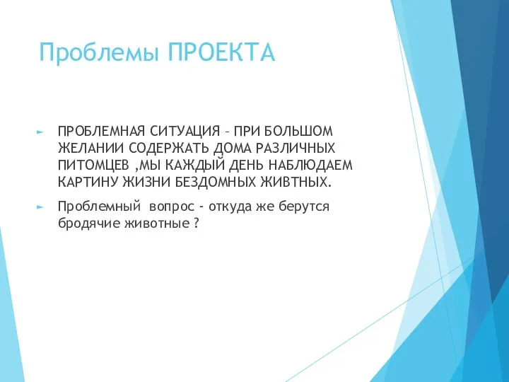 Проблемы ПРОЕКТА ПРОБЛЕМНАЯ СИТУАЦИЯ – ПРИ БОЛЬШОМ ЖЕЛАНИИ СОДЕРЖАТЬ ДОМА