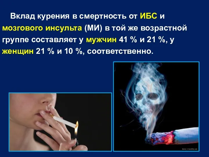 Вклад курения в смертность от ИБС и мозгового инсульта (МИ) в той же