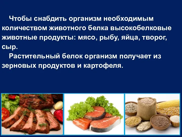 Чтобы снабдить организм необходимым количеством животного белка высокобелковые животные продукты: