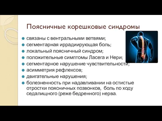 Поясничные корешковые синдромы связаны с вентральными ветвями; сегментарная иррадиирующая боль; локальный поясничный синдром;