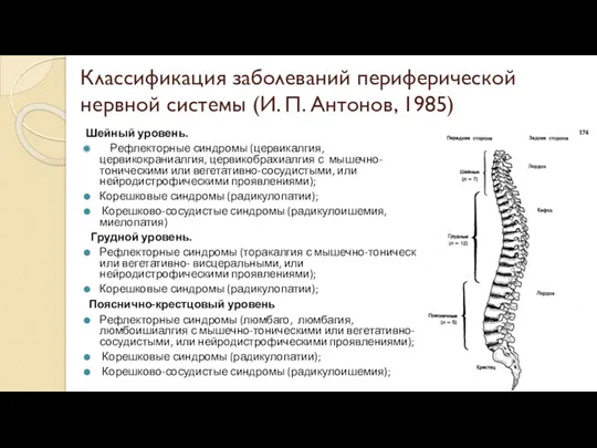 Классификация заболеваний периферической нервной системы (И. П. Антонов, 1985) Шейный