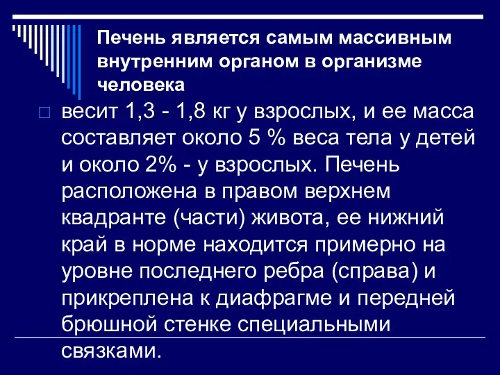 Печень является самым массивным внутренним органом в организме человека весит