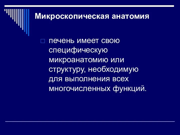 Микроскопическая анатомия печень имеет свою специфическую микроанатомию или структуру, необходимую для выполнения всех многочисленных функций.