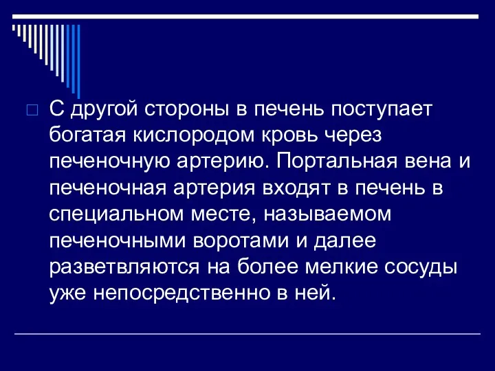 С другой стороны в печень поступает богатая кислородом кровь через