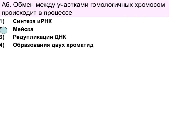 А6. Обмен между участками гомологичных хромосом происходит в процессе Синтеза