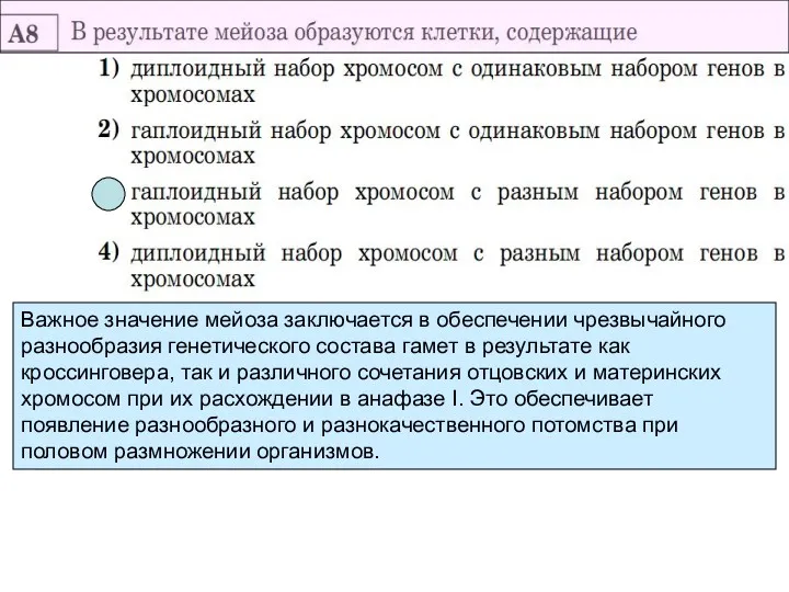 Важное значение мейоза заключается в обеспечении чрезвычайного разнообразия генетического состава