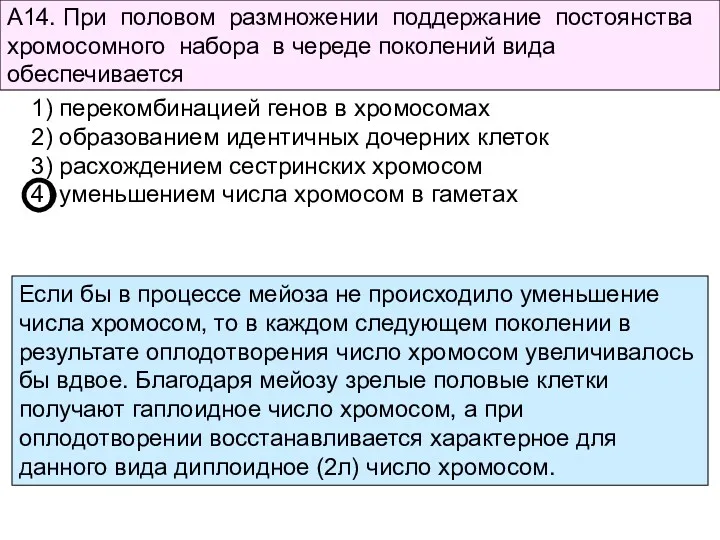 А14. При половом размножении поддержание постоянства хромосомного набора в череде