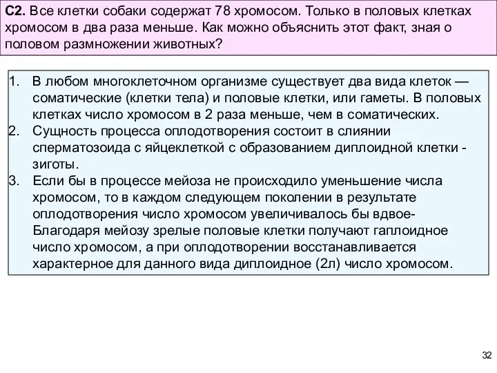 С2. Все клетки собаки содержат 78 хромосом. Только в половых