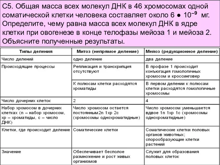 С5. Общая масса всех молекул ДНК в 46 хромосомах одной