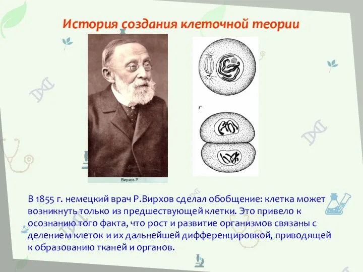 В 1855 г. немецкий врач Р.Вирхов сделал обобщение: клетка может возникнуть только из