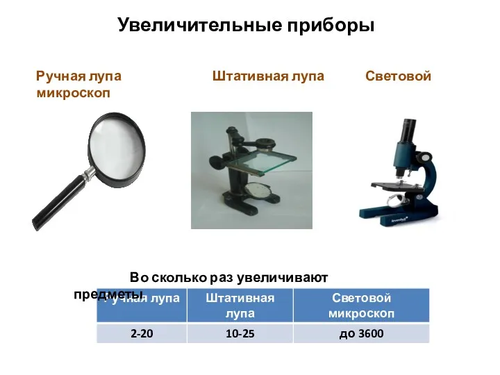 Увеличительные приборы Ручная лупа Штативная лупа Световой микроскоп Во сколько раз увеличивают предметы