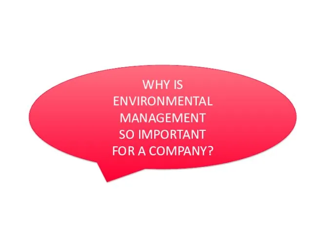 WHY IS ENVIRONMENTAL MANAGEMENT SO IMPORTANT FOR A COMPANY?