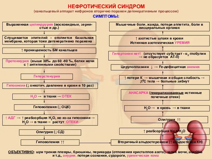 НЕФРОТИЧЕСКИЙ СИНДРОМ (канальцевый аппарат нефронов вторично поражен дегенеративным процессом) СИМПТОМЫ: