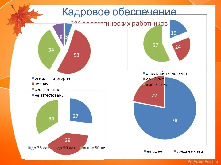 Кадровое обеспечение 386 педагогических работников