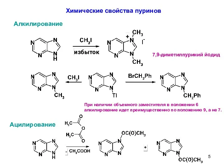 Химические свойства пуринов Ацилирование 7,9-диметилпуриний йодид Алкилирование При наличии объемного