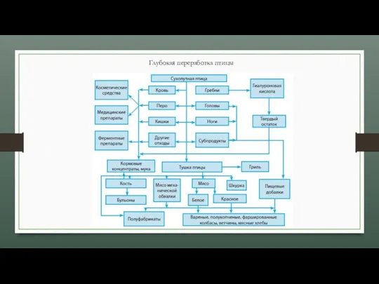 Глубокая переработка птицы