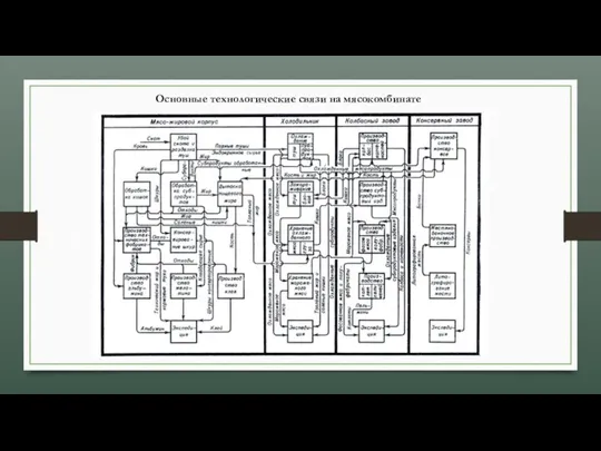 Основные технологические связи на мясокомбинате.
