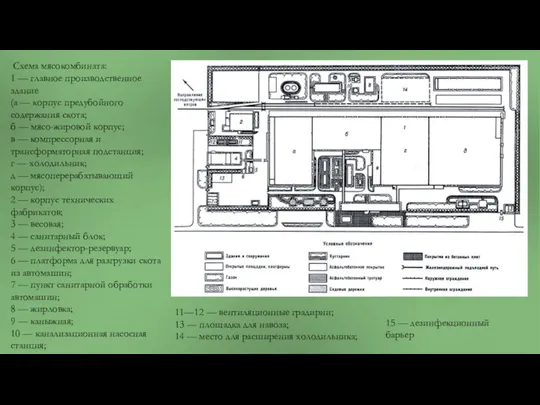 Схема мясокомбината: 1 — главное производственное здание (а — корпус
