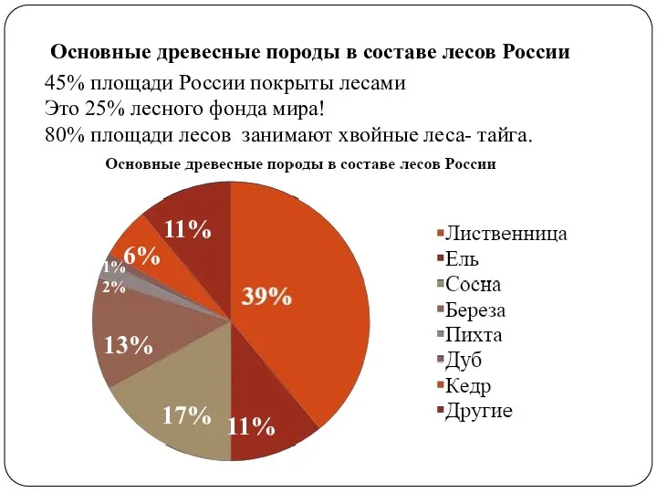 45% площади России покрыты лесами Это 25% лесного фонда мира!