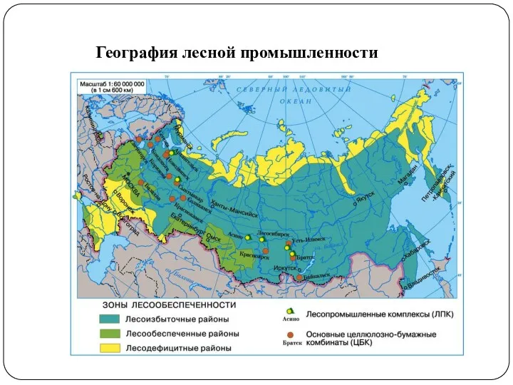 География лесной промышленности