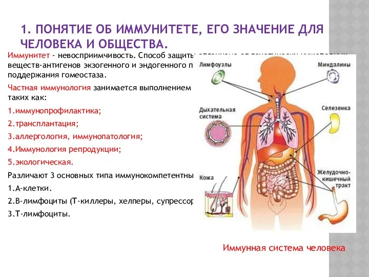 1. ПОНЯТИЕ ОБ ИММУНИТЕТЕ, ЕГО ЗНАЧЕНИЕ ДЛЯ ЧЕЛОВЕКА И ОБЩЕСТВА.