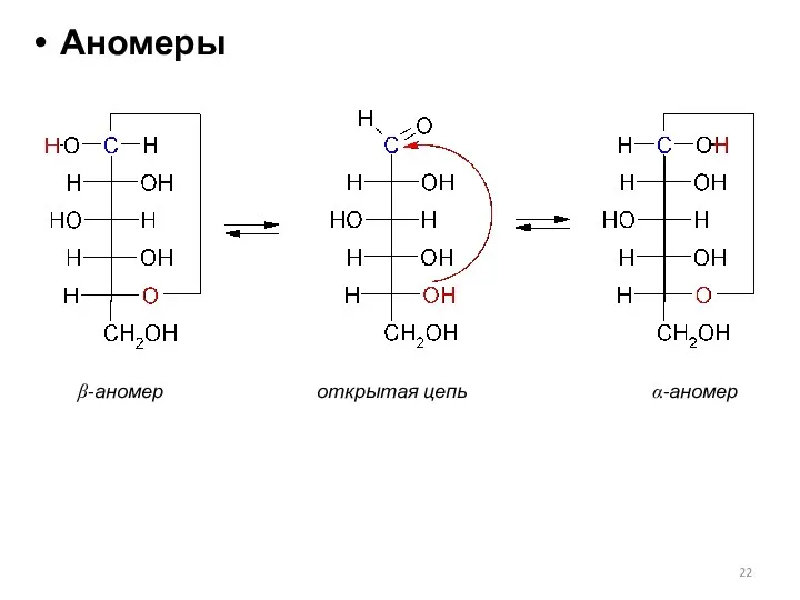 Аномеры β-аномер открытая цепь α-аномер
