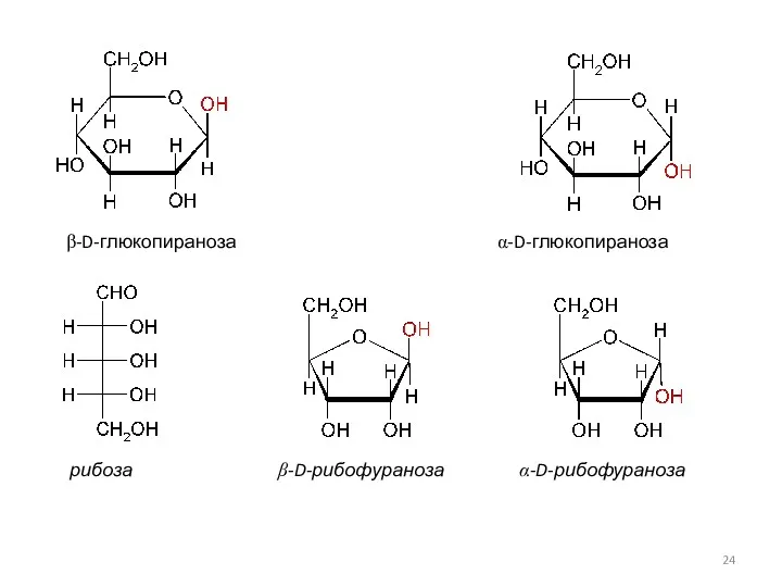 β-D-глюкопираноза α-D-глюкопираноза рибоза β-D-рибофураноза α-D-рибофураноза
