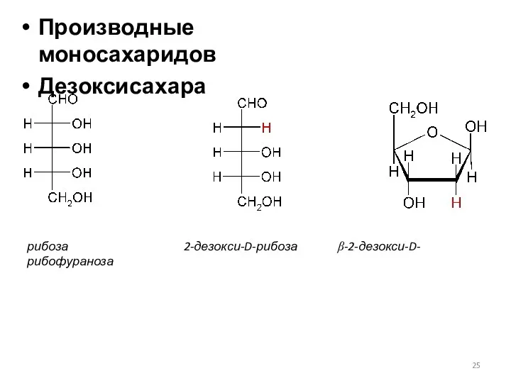 Производные моносахаридов Дезоксисахара рибоза 2-дезокси-D-рибоза β-2-дезокси-D-рибофураноза