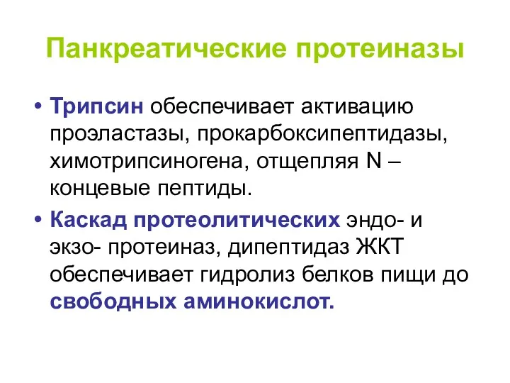 Панкреатические протеиназы Трипсин обеспечивает активацию проэластазы, прокарбоксипептидазы, химотрипсиногена, отщепляя N