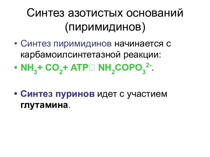 Синтез азотистых оснований (пиримидинов) Синтез пиримидинов начинается с карбамоилсинтетазной реакции: