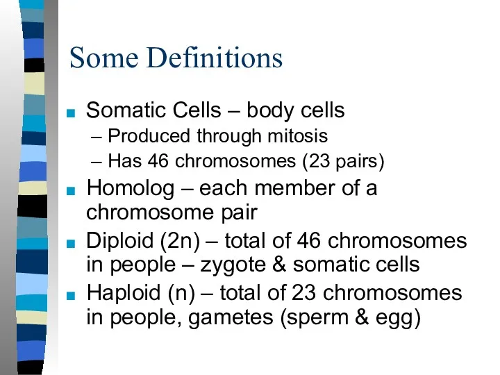 Some Definitions Somatic Cells – body cells Produced through mitosis Has 46 chromosomes