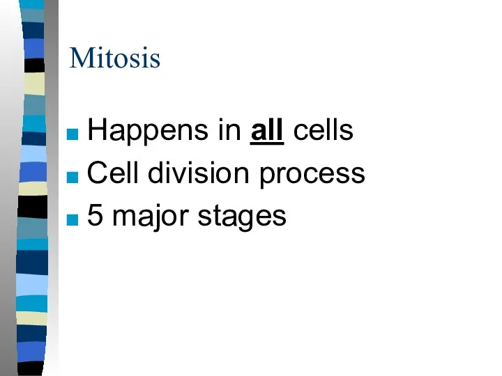 Mitosis Happens in all cells Cell division process 5 major stages