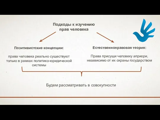 Подходы к изучению прав человека Позитивистские концепции: права человека реально существуют только в