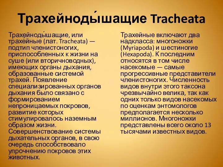 Трахейноды́шащие Tracheata Трахейноды́шащие, или трахе́йные (лат. Tracheata) — подтип членистоногих, приспособленных к жизни