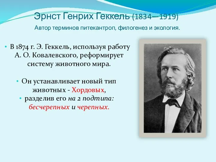 Эрнст Генрих Геккель (1834—1919) Автор терминов питекантроп, филогенез и экология.