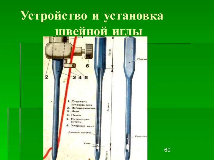 Первитская И.В. учитель обслуживающего труда Макушинской СОШ Устройство и установка швейной иглы