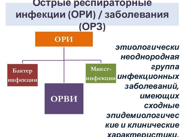 Острые респираторные инфекции (ОРИ) / заболевания (ОРЗ) этиологически неоднородная группа