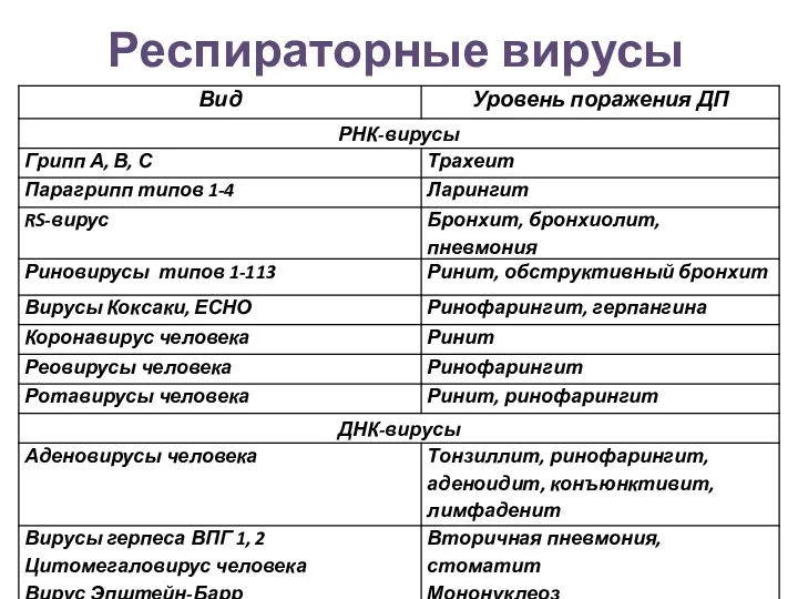 Респираторные вирусы