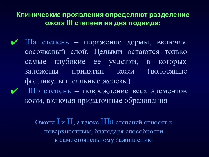 IIIа степень – поражение дермы, включая сосочковый слой. Целыми остаются только самые глубокие