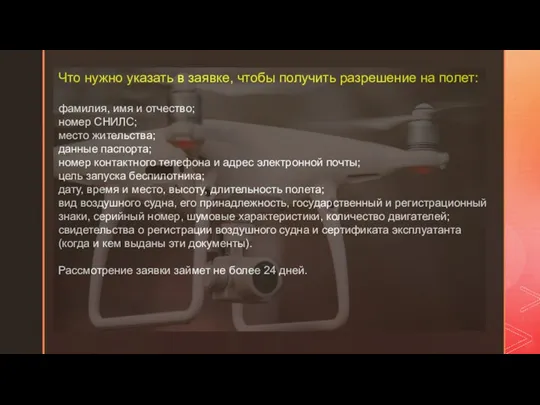 Что нужно указать в заявке, чтобы получить разрешение на полет: фамилия, имя и