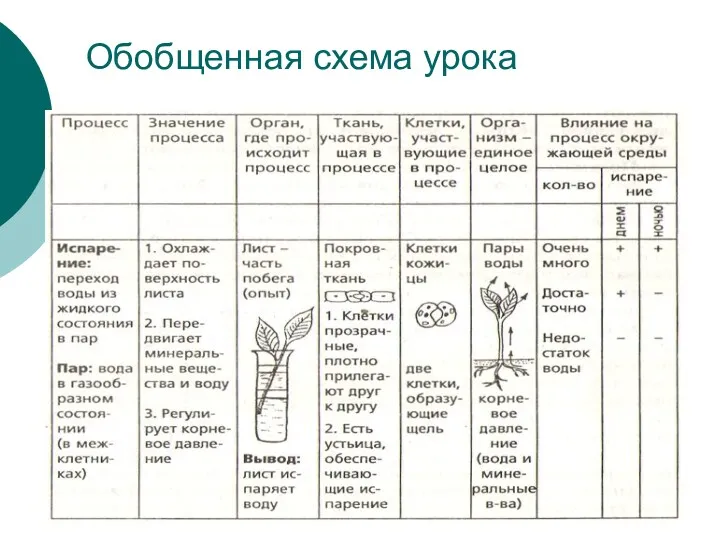 Обобщенная схема урока